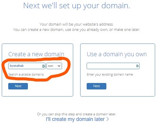 Bluehost enter your new domain name