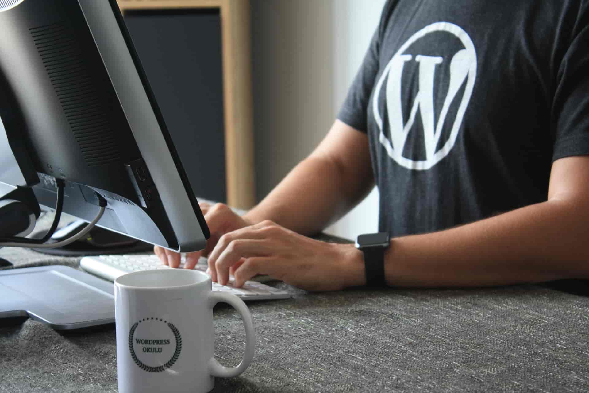 What is Wordpress at Weboodillia Blog